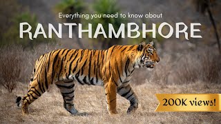 7 Reasons why RANTHAMBHORE is the best park in India for Tiger Safaris