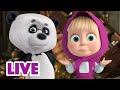 🔴 LIVE STREAM 👧🐻 마샤와 곰 😲💥 깔끔한 하루 💥😯 Masha and the Bear