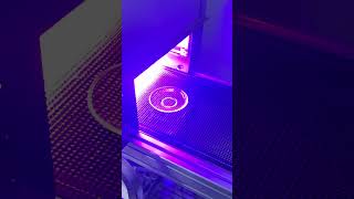 #стеклянная тарелка #золочение стекла #золочение тарелки #glass plate #glass gilding #plate gilding