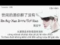 [Vietsub+Pinyin] Em Say Men Rượu Thế Gian (Remix Tiktok) | 世间的酒你醉了没有 - 陶安平 Hot Tiktok Douyin