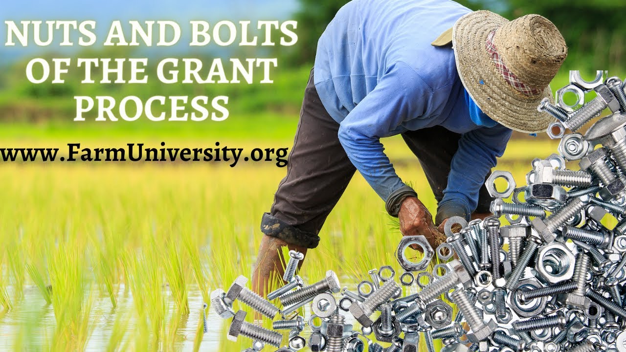 Nuts and Bolts of the Grant Process YouTube