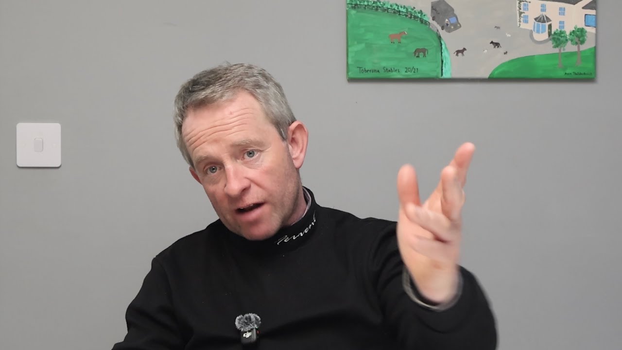 Подробный анализ участников забега Пола и Джеймса Ноланов на Челтнемском фестивале.