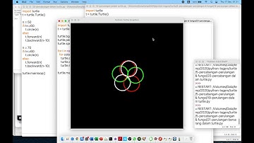 Percabangan, Perulangan dan fungsi dalam Turtle