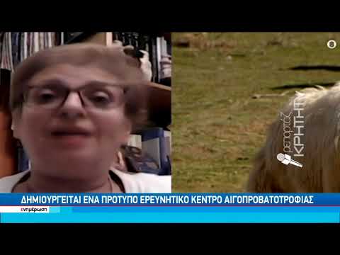 Μετά από δεκαετίες "ξαναζωντανεύει" η σχολή ασωμάτων στο Αμάρι Ρεθύμνου
