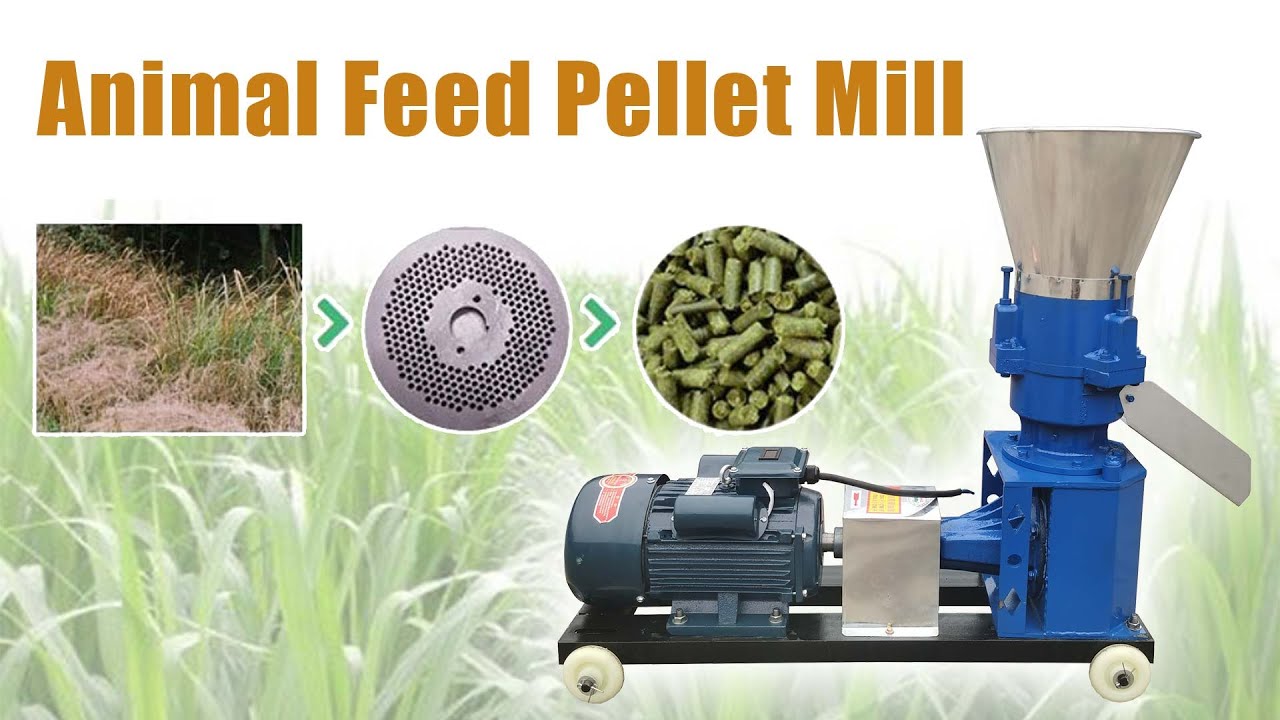 Animal Feed Pellet Mill How To Use Dry Grass To Make Pellets As 