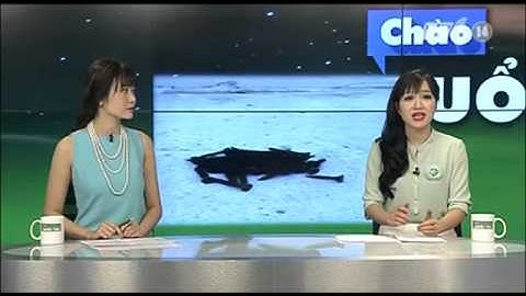 Đinh Vít Lại Xuất Hiện Trên Cầu Nhật Tân