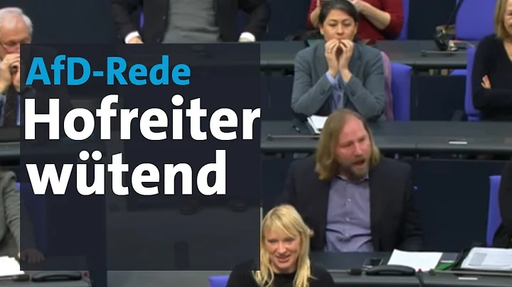 Anton Hofreiter flippt bei AfD-Rede von Curio im Bundestag aus | BR24