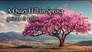 A Quiet Hill in Spring Bloom 🌸 Gentle Guitar & Cello for Peaceful Morning, Relaxation, Mindfulness