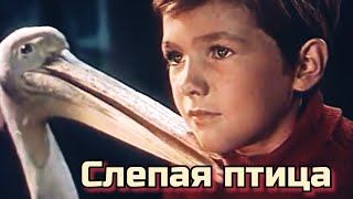 Слепая Птица /1963/ The Blind Bird / Драма / Семейный Фильм / Ссср