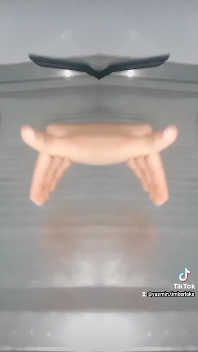 SPIDER LDENTICAL TWINS TIK TOK YASMIN THALLYTA
