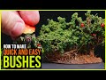 Make Quick and Easy Wargaming Bushes