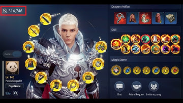 MIR4 Global Top 1 warrior all Tier 4 items 315k Power Score | MIR4 Battles