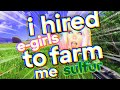 i hired e-girls to farm me sulfur