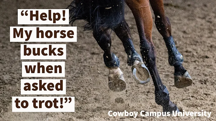 “My horse refuses to trot and bucks when asked!” | How To Solve This Common Problem