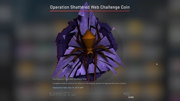 CS:GO - Shattered Web Operation - Follow the leader