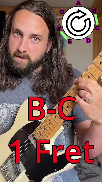 This Simple Image Finally Explained the Guitar Fretboard