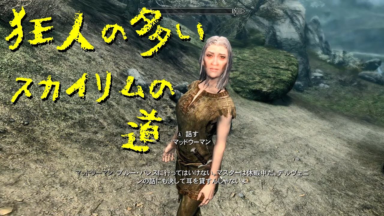 ダウンロード スカイリム マッドウーマン Hd壁紙ギャラリー ダウンロード スカイリム マッドウーマン Hd壁紙ギャラリー