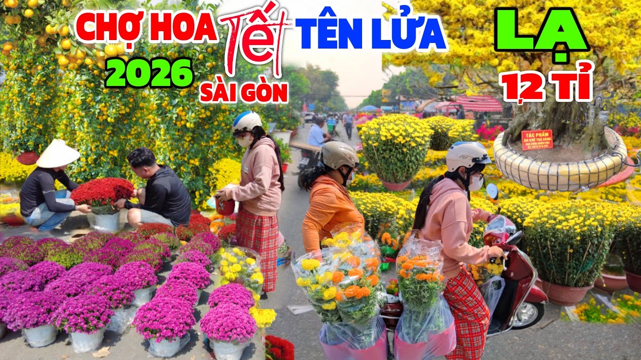 XÔN XAO khu Tên LỬA chợ hoa Tết Sài Gòn 2026/ Mai độc LẠ Bạc Tỉ" Vạn Thọ bán Rẻ