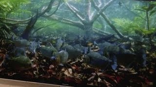 Next Big Thing - The end of plasma TVs?