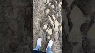 Na Toll Mal Wieder Schuhe Ruiniertd