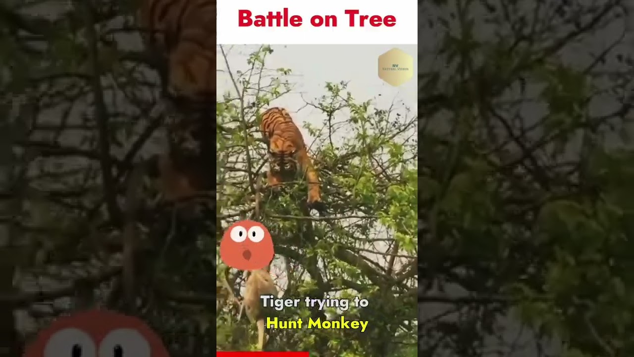 Battle on Tree