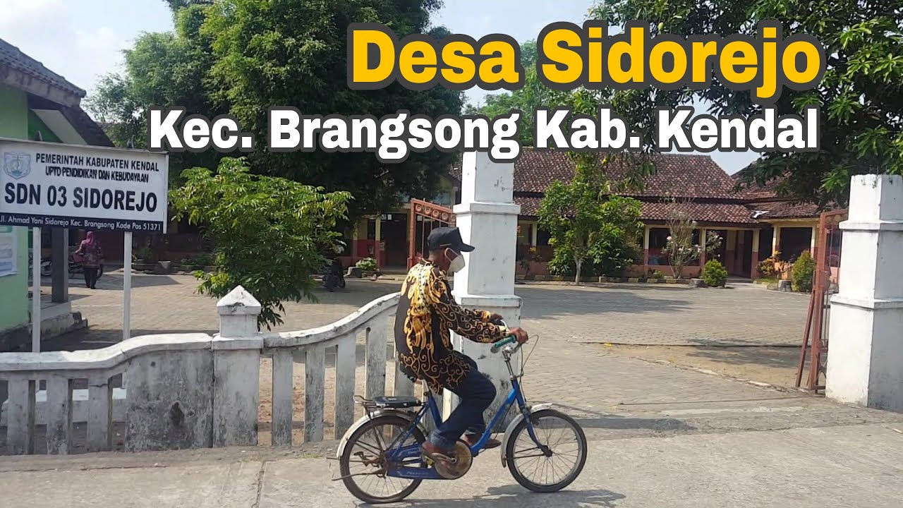 Suasana pedesaan Jawa | yang bikin rindu kampung halaman Desa Sidorejo Brangsong Kendal