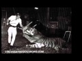 Lion defeats 2 male tigers at once, with confirming accounts, part 2
