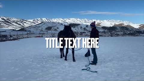 The Basics on Flagging a Horse