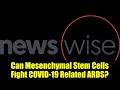 Can Mesenchymal Stem Cells Fight COVID-19 Related ARDS? | Latest Research Insights
