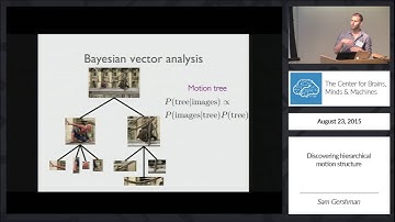 Discovering Hierarchical Motion Structure