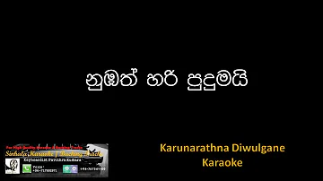 Numbath Hari Pudumai Karaoke (Without Voice)