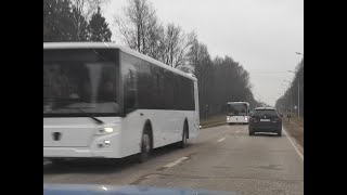 Обзор Лиаз 529265 CITYMAX 2023 г.в.