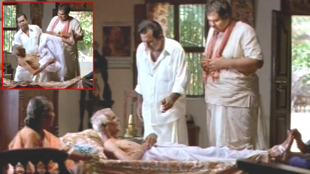 Brahmanandam Best Telugu Movie Hilarious Comedy Scene  Best Telugu Comedy Scene  Volga Video