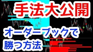 【生配信で200万稼いだ私が実際に使っている手法】OANDAオープンオーダーを使った手法