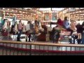 Terran rides the nys museum carousel