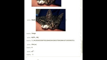 Excellent Adventures | Intro to Mathematica