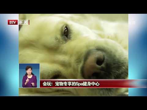 科技改變生活 西班牙科研人員3D列印人體皮膚