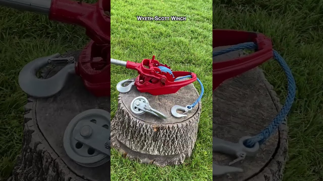 Using Physics To Remove A Tree Treeremoval Tools