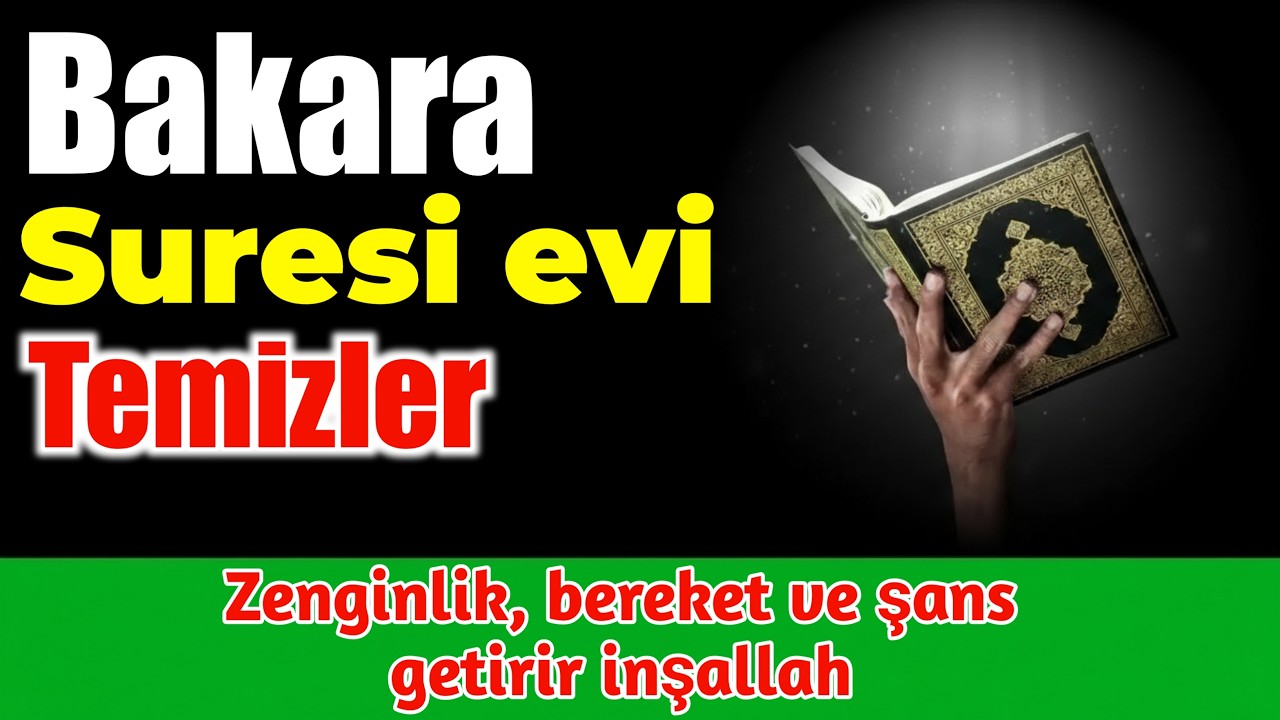 Bakara Suresi – Kötülüklerden Koruyan ve Bereketi Çeken Bir Kalkan