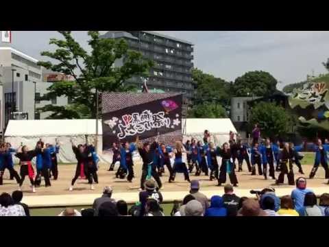 2015黒崎よさこい祭り  大分県連PR隊