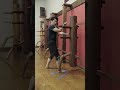 Wing Chun Wooden Dummy Section 1A