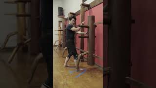 Wing Chun Wooden Dummy Section 1A