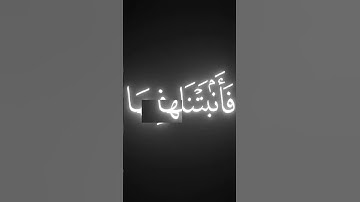 #تلاوة_خاشعة #عبدالرحمن_مسعد #یاسر_الدوسري #quran #تلاوة