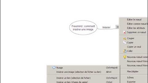 freemind inserer image