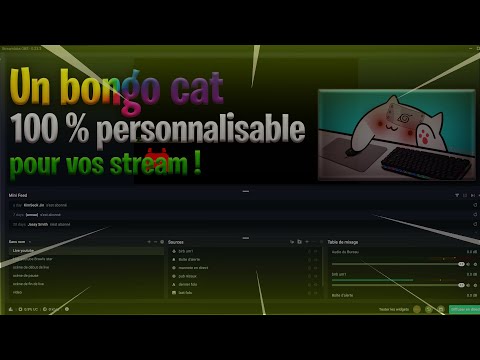 TUTO FR|  COMMENT AFFICHER ET MODIFIER SON BONGO CAT POUR CES LIVE