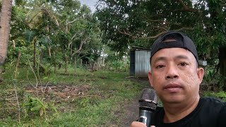 Download Lagu Sunday Jam MP3