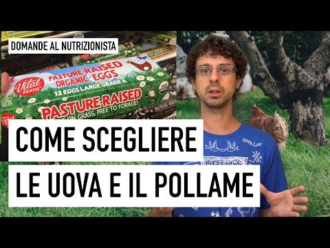 Video: La professione di cioccolatiere è Funzioni, sfumature, lavoro svolto