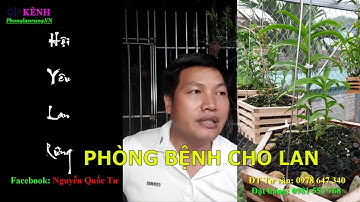 Cách Phòng Nấm Bệnh Cho Lan Trong Mùa Mưa || Sử Dụng Nước Vôi & Nấm Đối Kháng Trichoderma