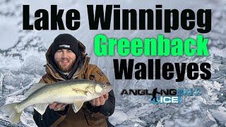 Ice Fishing Lake Winnipeg Greenback Walleyes