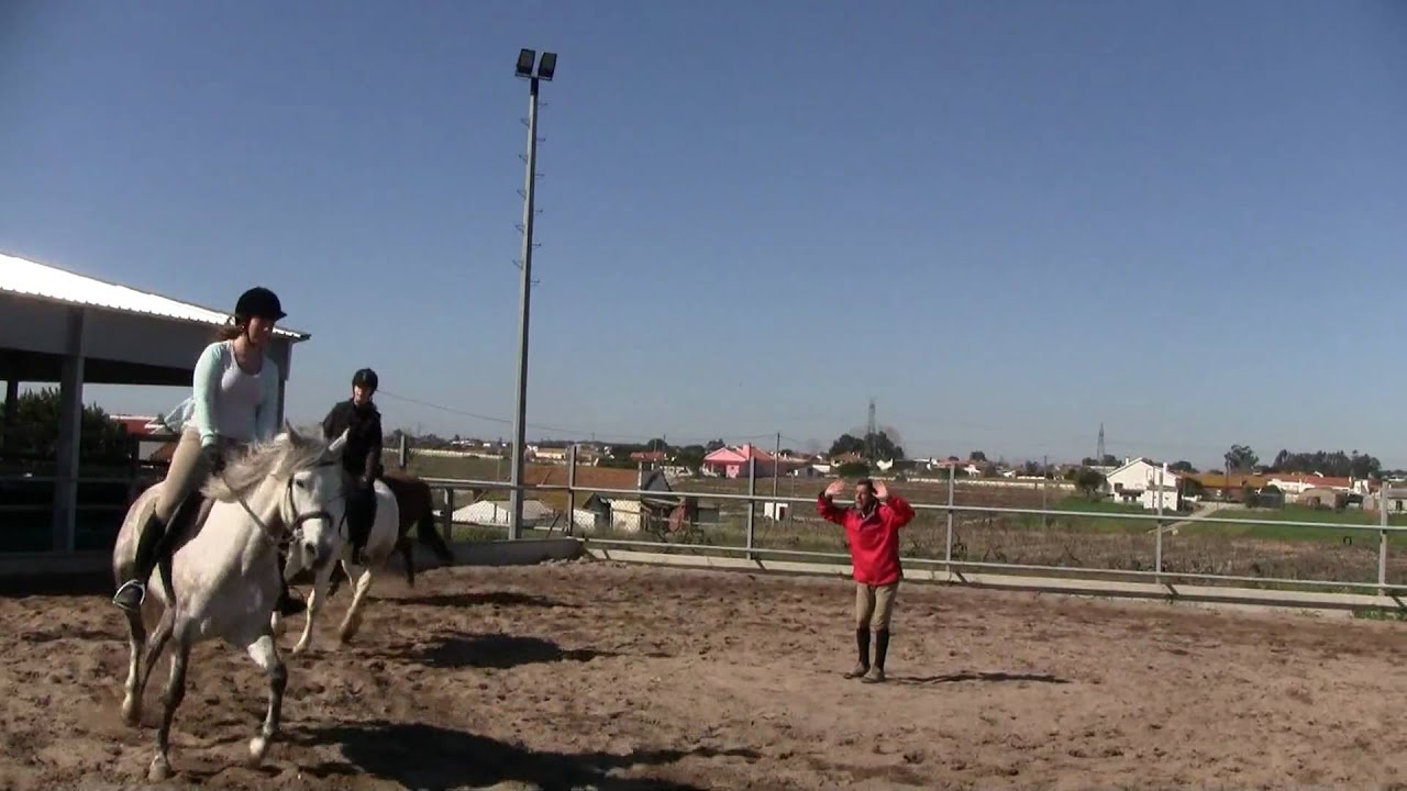 Domingo de sol no picadeiro da Quinta do Rei